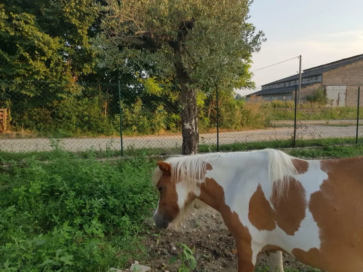 Nella Natura Del Parco Dei Colli Euganei Cinto Euganeo Holiday home