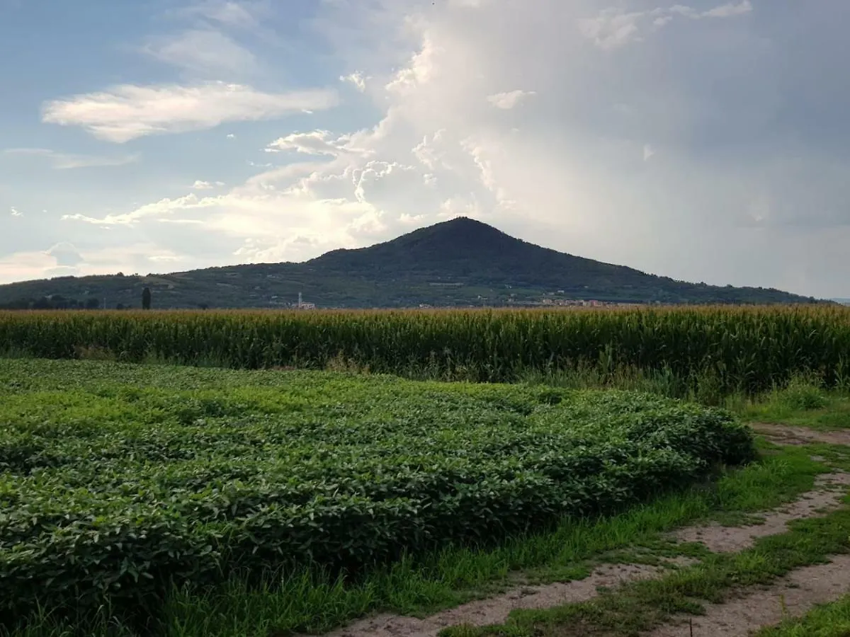 Nella Natura Del Parco Dei Colli Euganei Cinto Euganeo